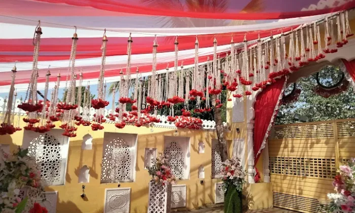 Surprise Culture  Surprise Event Planner